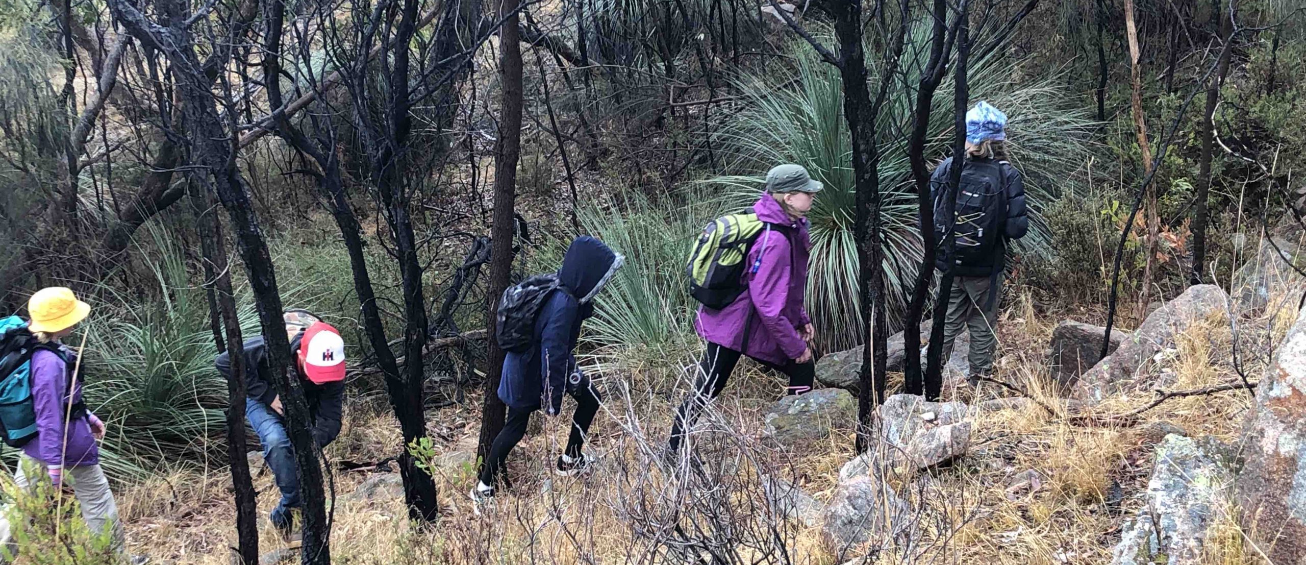 Bushwalking | Scouts SA QStore